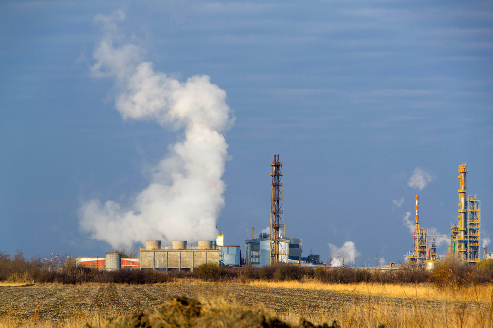 西域绿洲 - 高效环保肥料厂家
